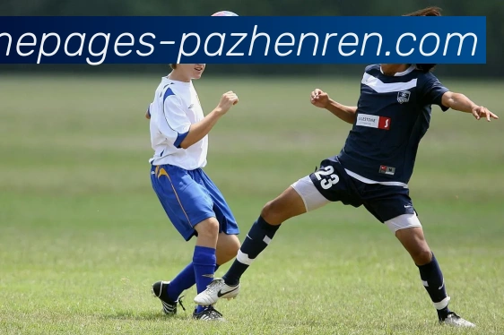 pa真人APP 封面图